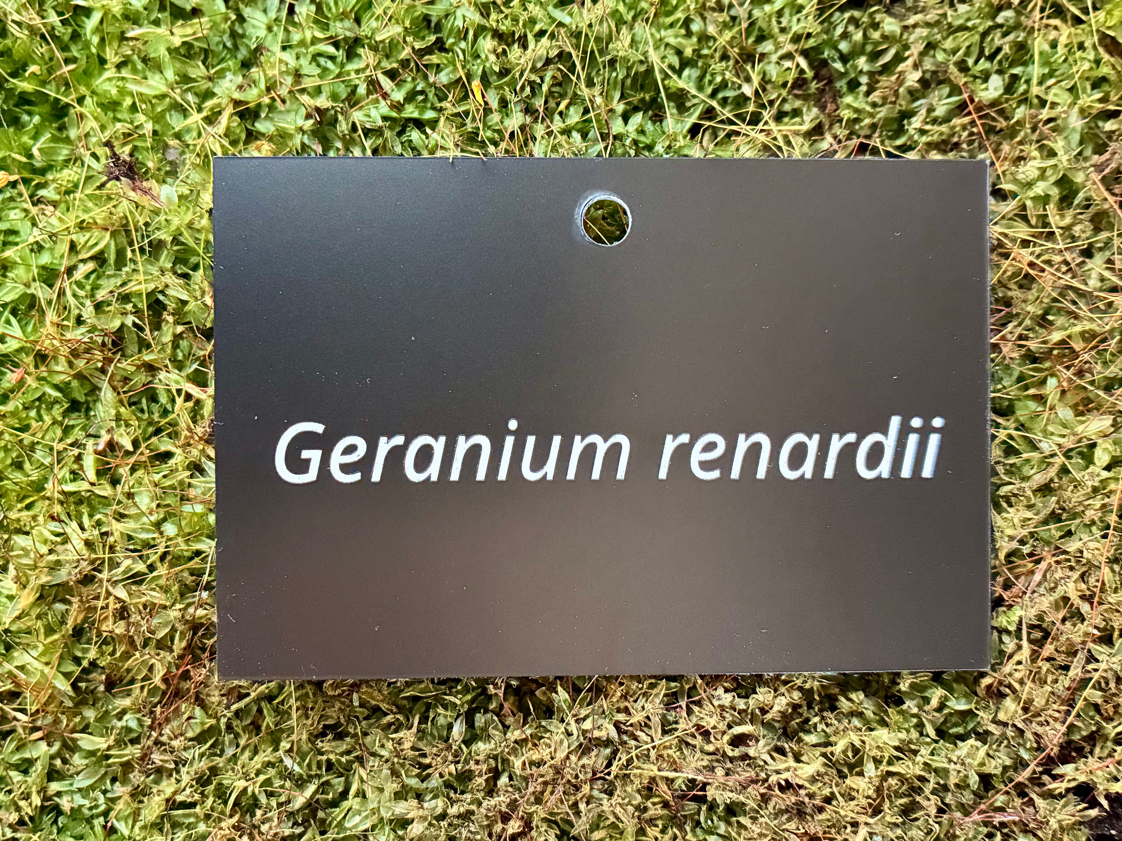 Geranium renardii - Plant label
