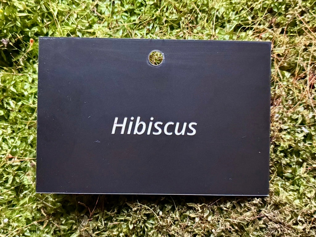 Hibiscus - Plant label
