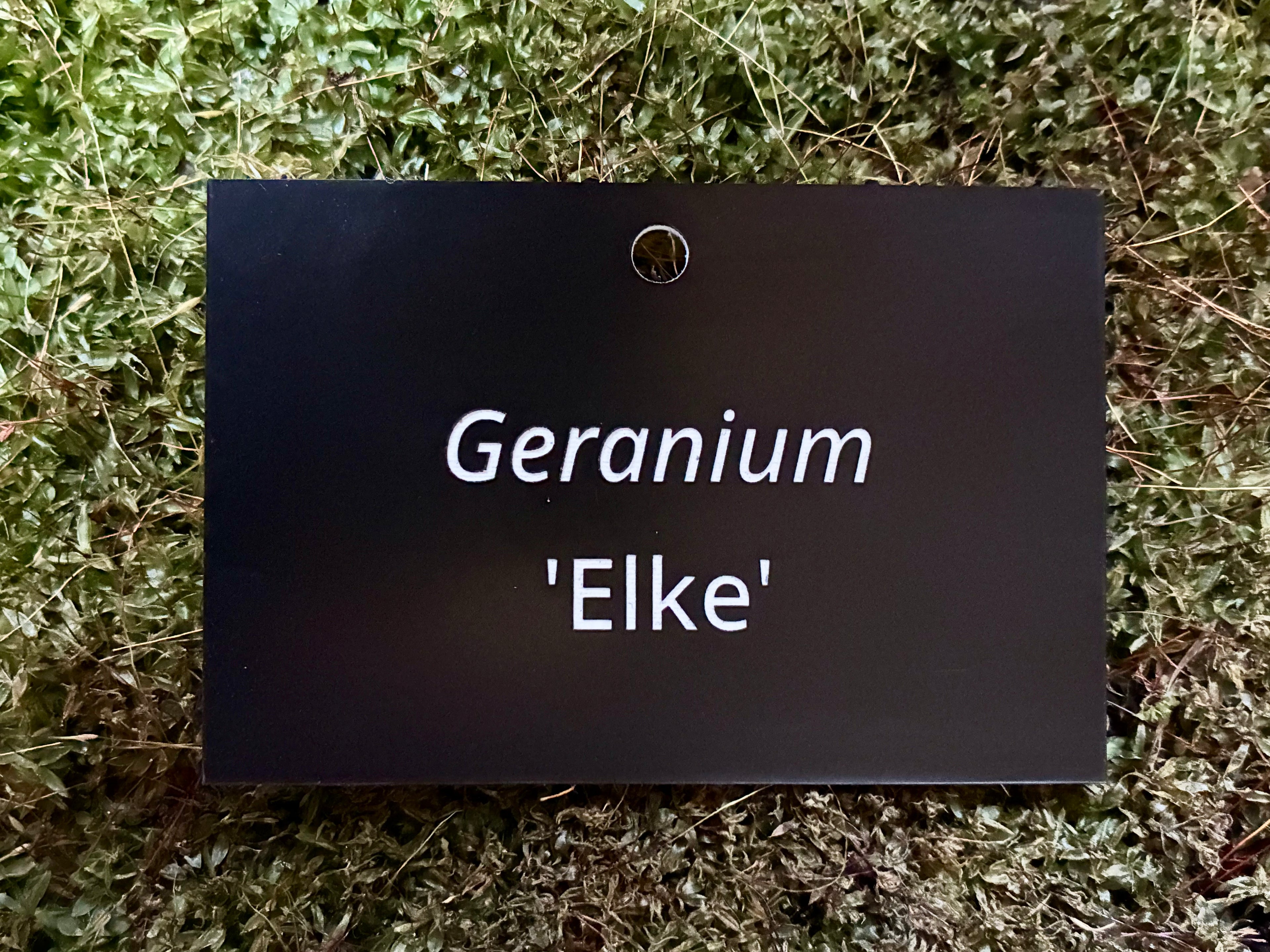 Geranium 'Elke' - Plant label