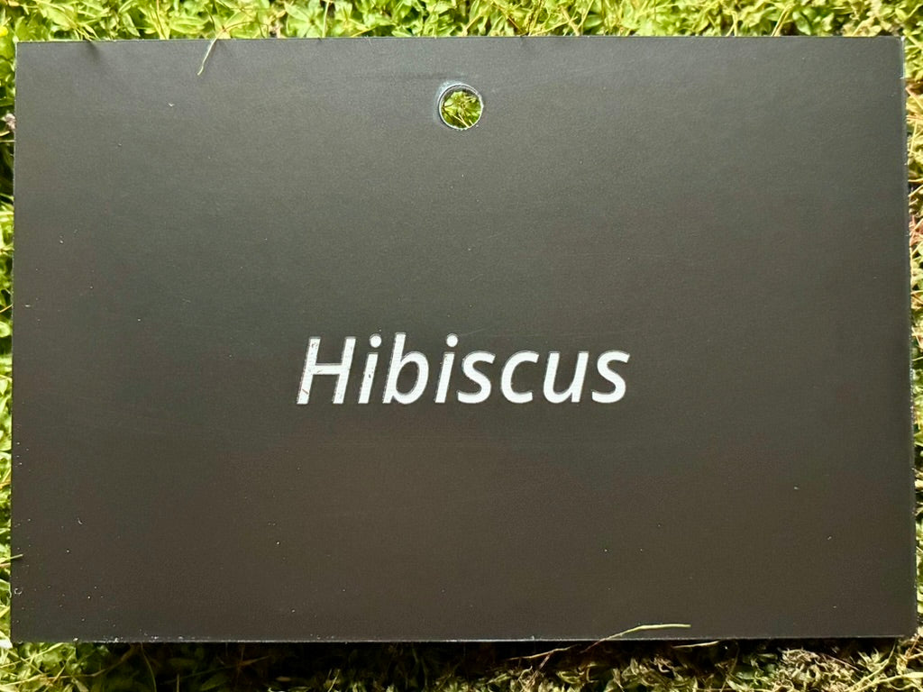 Hibiscus - Plant label