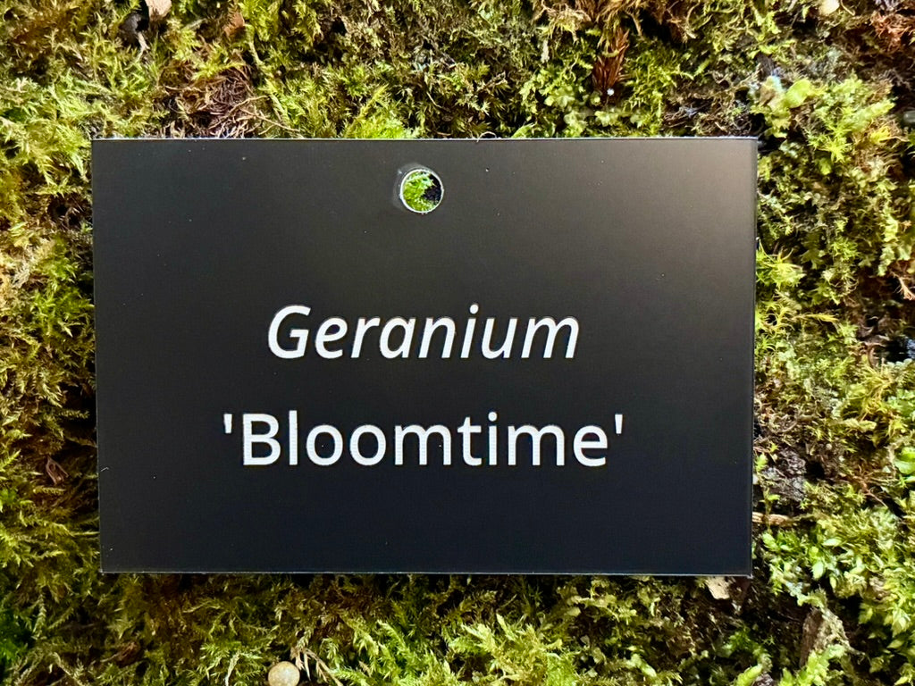 Geranium 'Bloomtime' - Plant label