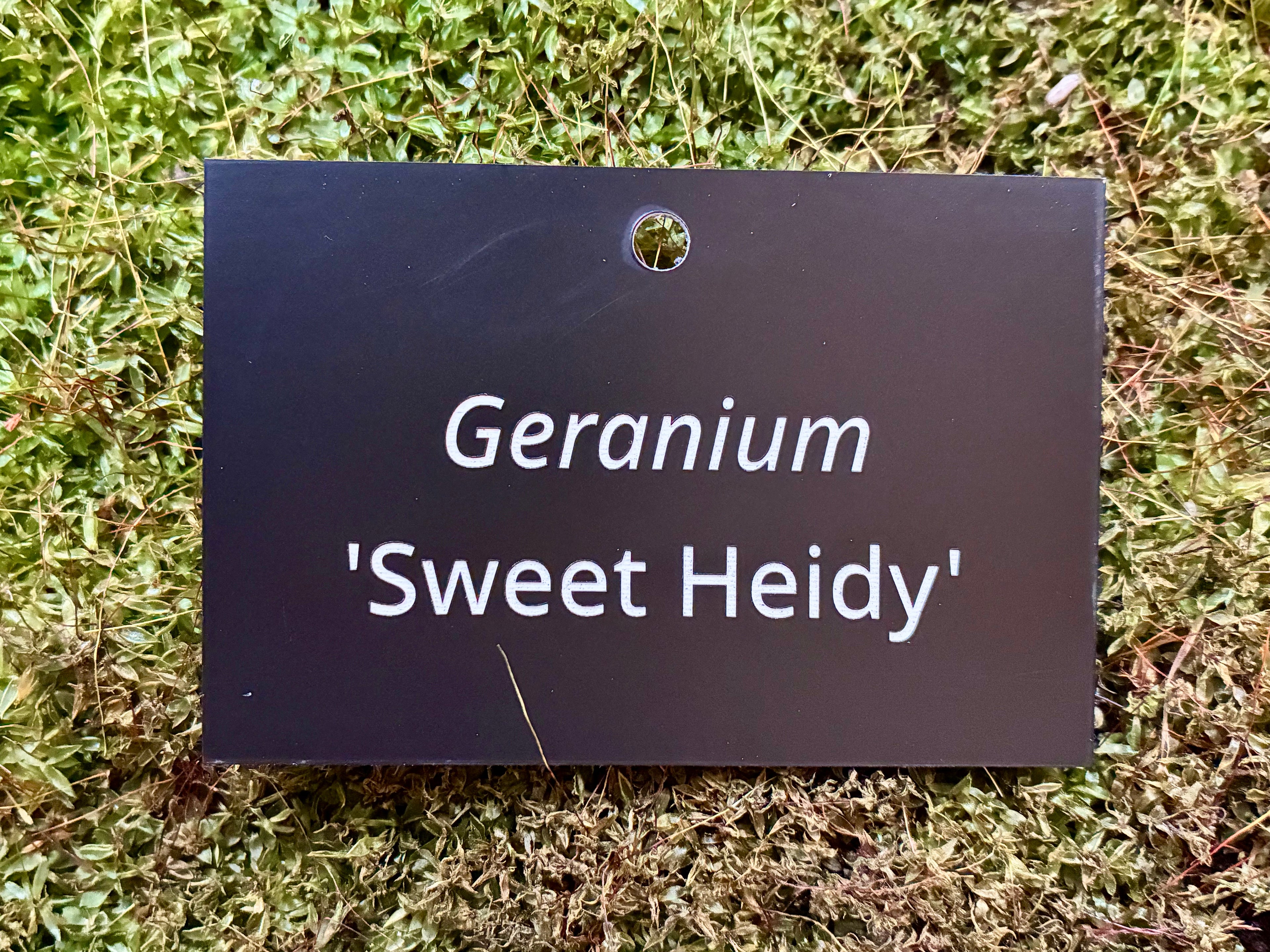 Geranium 'Sweet Heidy' - Plant label