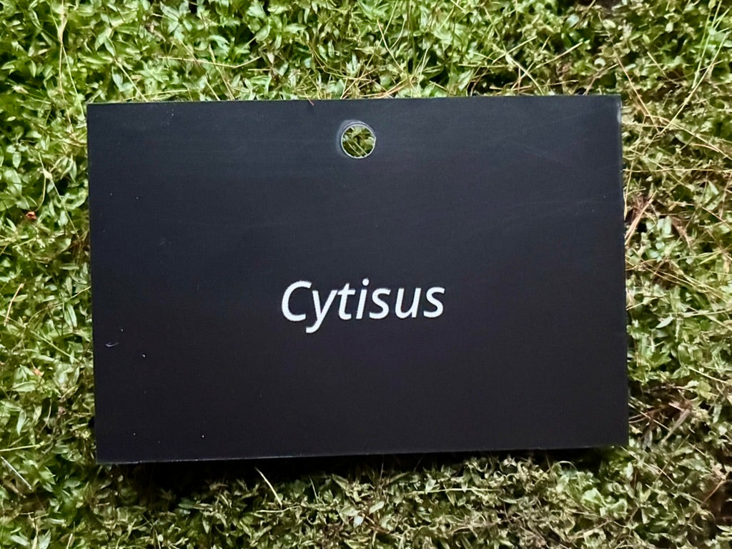 Cytisus - Plant label