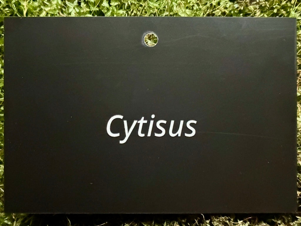 Cytisus - Plant label