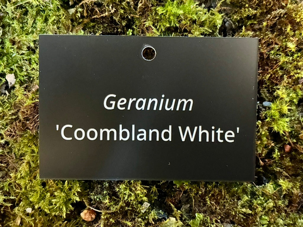 Geranium 'Coombland White' - Plant label