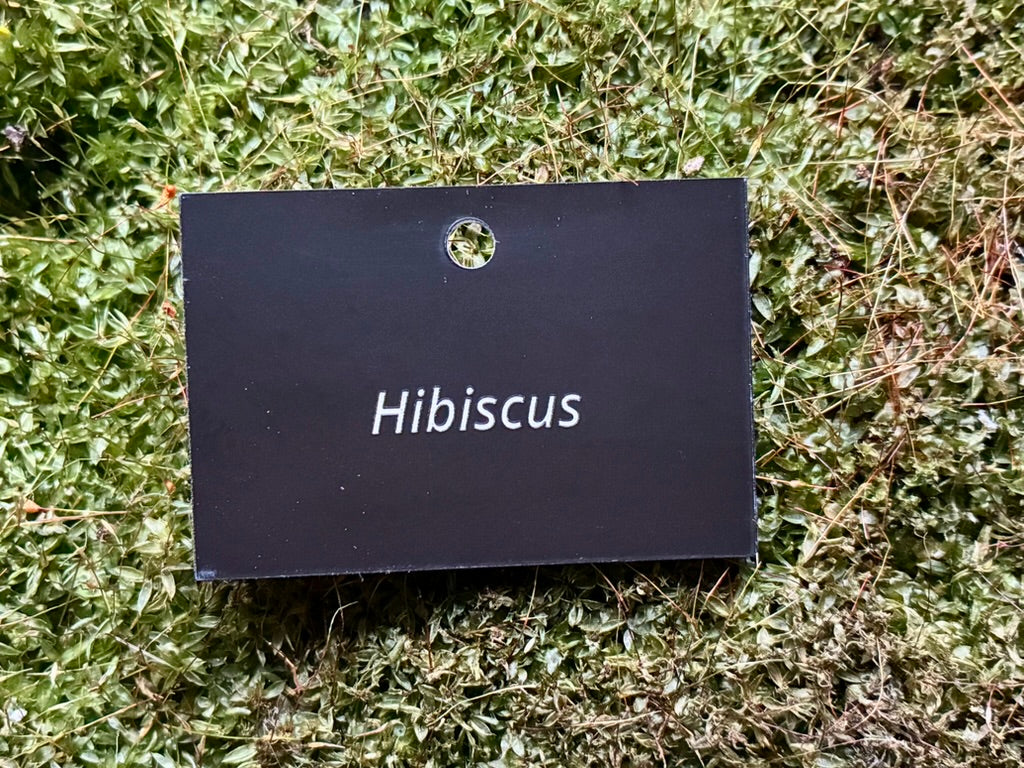 Hibiscus - Plant label