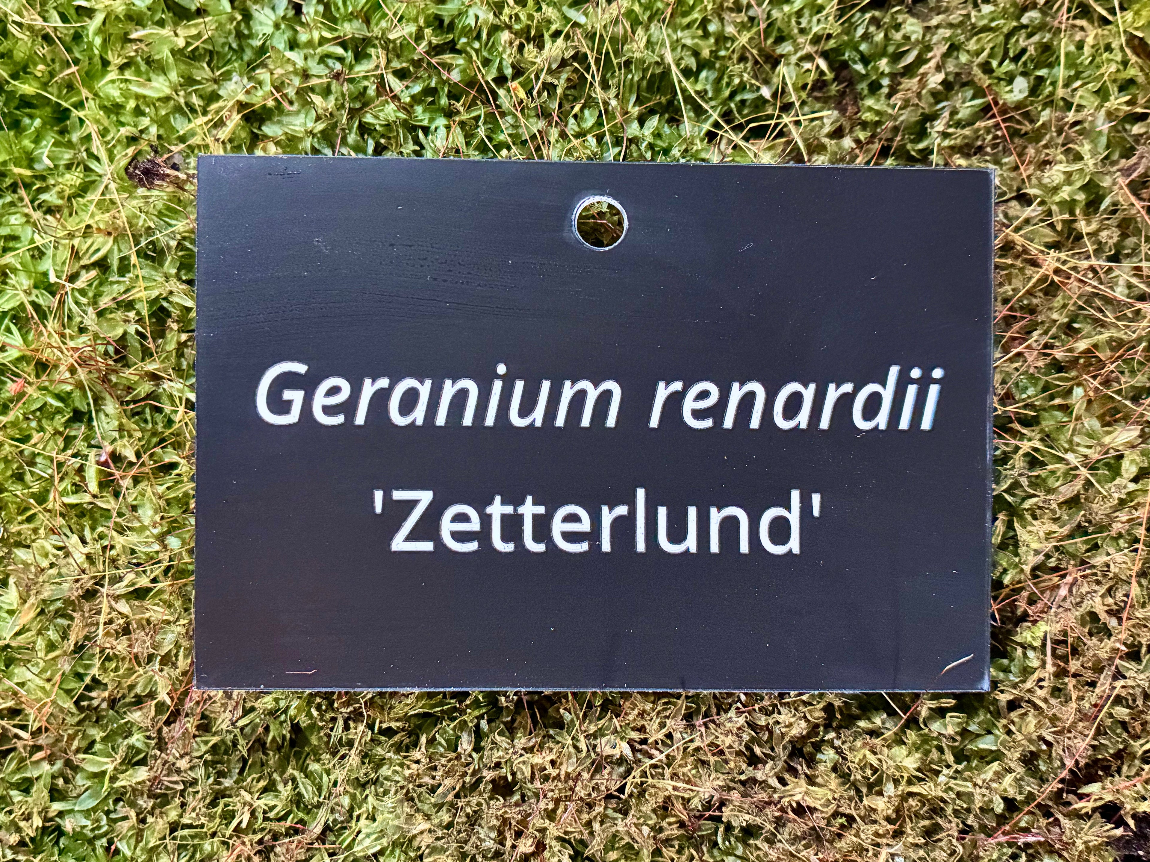 Geranium renardii 'Zetterlund' - Plant label