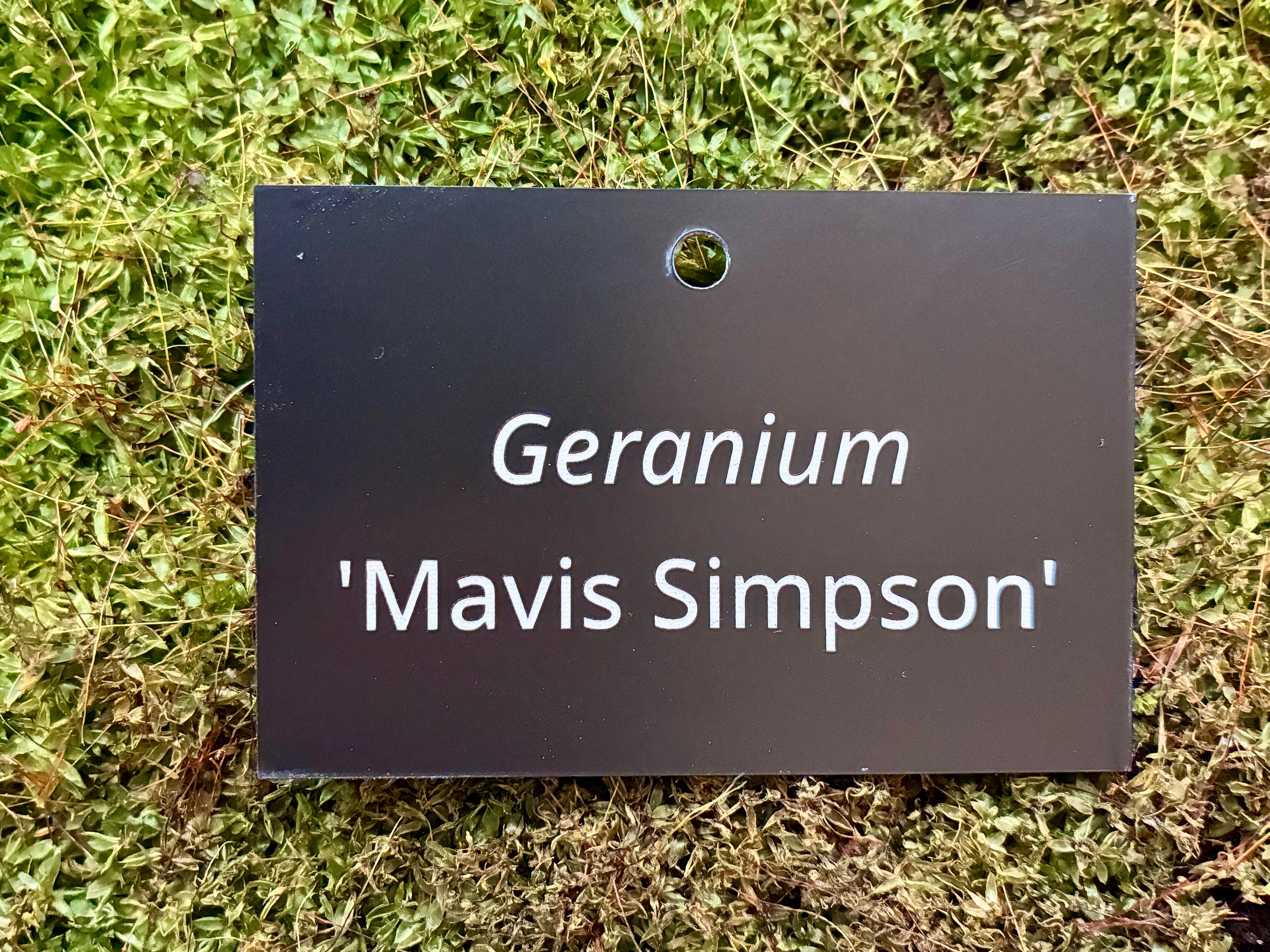 Geranium 'Mavis Simpson' - Plant label