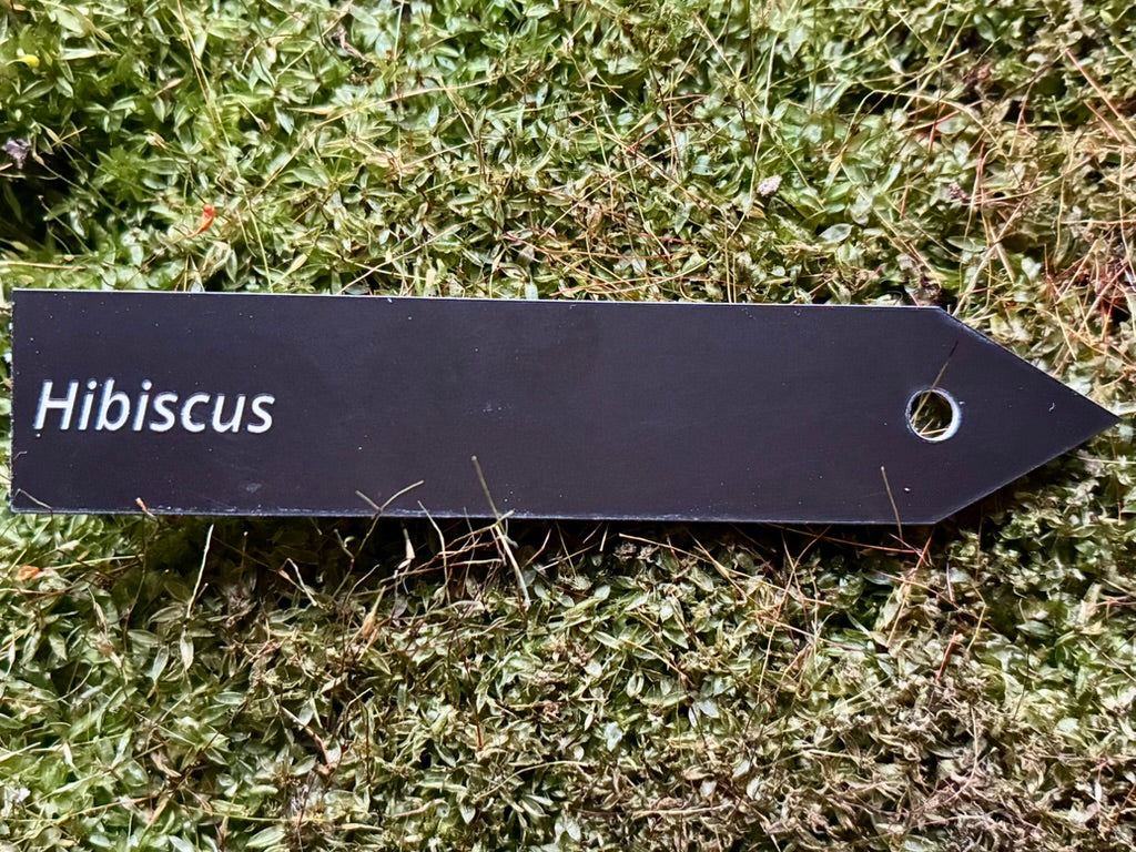 Hibiscus - Plant label